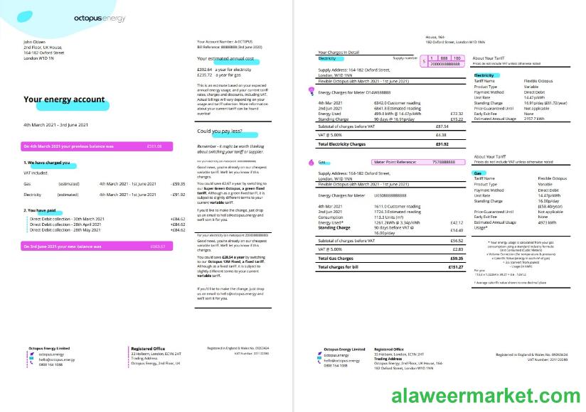 United Kingdom Octopus Energy utility bill template in Word and PDF format, 3 pages 1 2